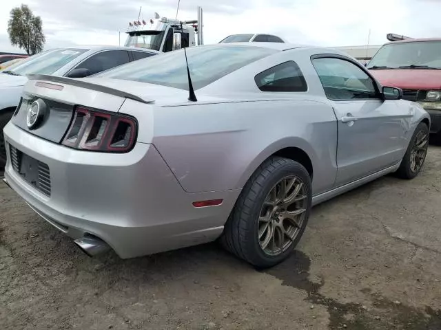 2013 Ford Mustang