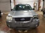 2005 Ford Escape XLT