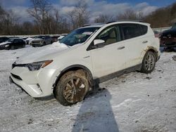 Salvage cars for sale at Ellwood City, PA auction: 2016 Toyota Rav4 HV Limited