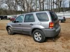 2007 Ford Escape XLT