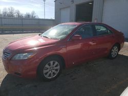 Salvage cars for sale at Rogersville, MO auction: 2008 Toyota Camry Hybrid