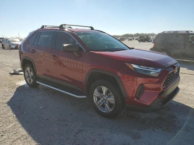 2023 Toyota Rav4 LE