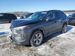 Salvage cars for sale at auction: 2023 Toyota Rav4 XLE