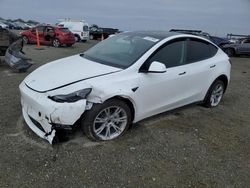 Salvage cars for sale at Antelope, CA auction: 2023 Tesla Model Y