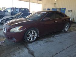 Salvage cars for sale at Homestead, FL auction: 2013 Nissan Maxima S