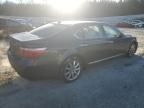 2007 Lexus LS 460L