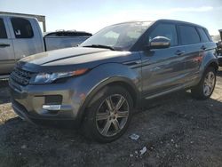 Salvage cars for sale from Copart West Palm Beach, FL: 2015 Land Rover Range Rover Evoque Pure Plus