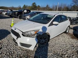 Salvage cars for sale at Memphis, TN auction: 2016 Ford Focus SE