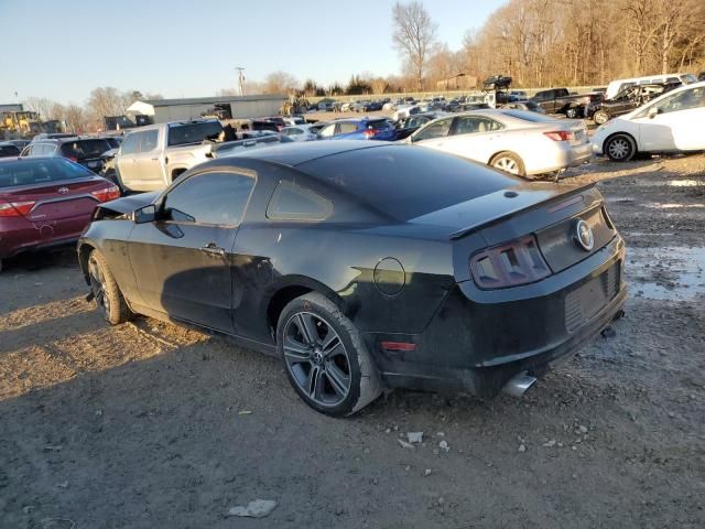 2013 Ford Mustang