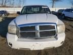 2006 Dodge Dakota SLT