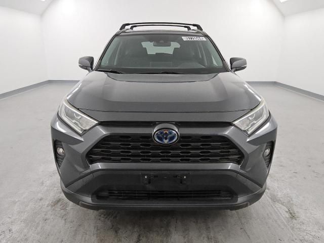 2019 Toyota Rav4 XLE