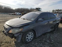 2010 Toyota Corolla Base en venta en Windsor, NJ