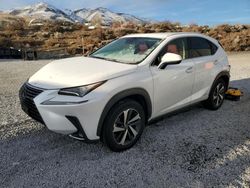 Lexus salvage cars for sale: 2019 Lexus NX 300H