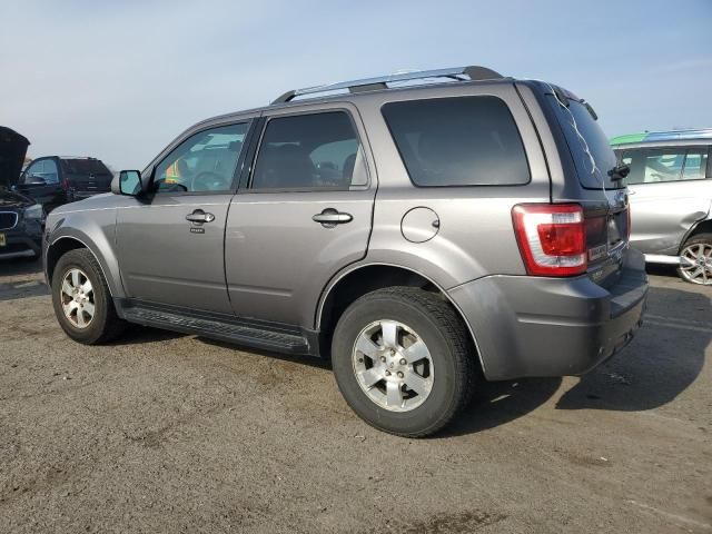 2011 Ford Escape Limited