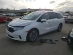 2021 Honda Odyssey EXL