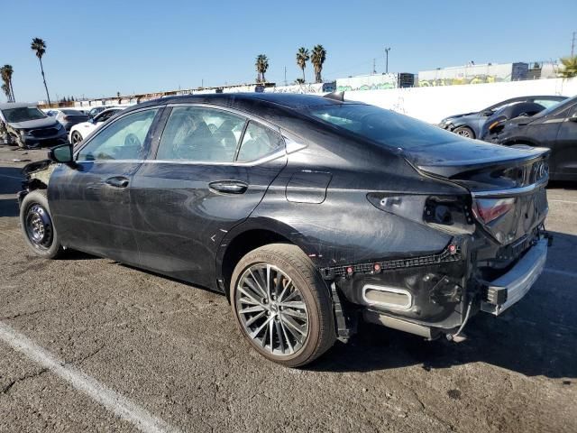 2024 Lexus ES 300H Base