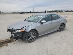 Salvage cars for sale at New Braunfels, TX auction: 2024 Toyota Camry XLE