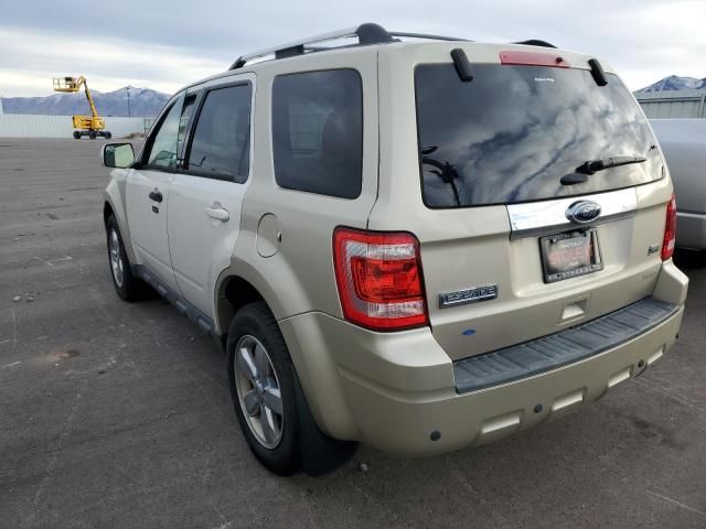 2012 Ford Escape Limited