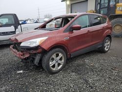 Salvage cars for sale from Copart Eugene, OR: 2016 Ford Escape SE