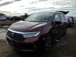 Salvage cars for sale at Brighton, CO auction: 2021 Honda Odyssey EX