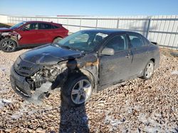 Salvage cars for sale at Rapid City, SD auction: 2013 Toyota Corolla Base