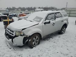 2009 Ford Escape XLT en venta en Pennsburg, PA