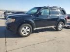 2009 Ford Escape XLT