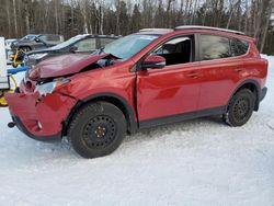 Salvage cars for sale from Copart Cookstown, ON: 2014 Toyota Rav4 XLE