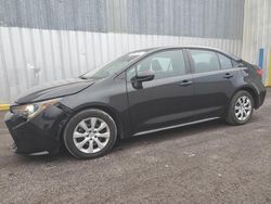 Salvage cars for sale at Greenwell Springs, LA auction: 2023 Toyota Corolla LE