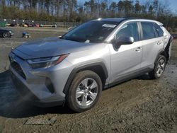 Salvage cars for sale at Waldorf, MD auction: 2024 Toyota Rav4 XLE