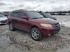 2009 Hyundai Santa FE SE