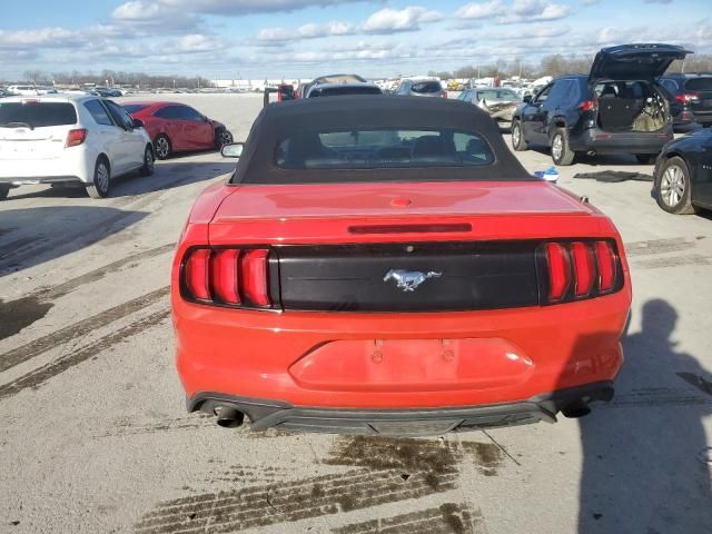 2019 Ford Mustang