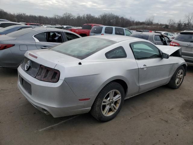 2014 Ford Mustang