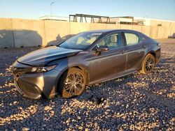 Salvage cars for sale at Phoenix, AZ auction: 2024 Toyota Camry SE Night Shade