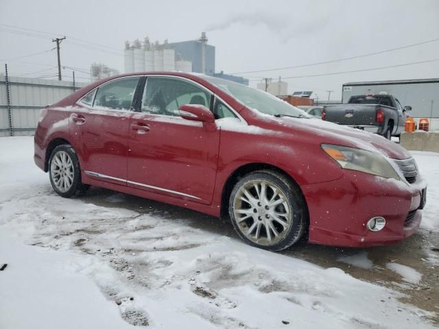 2010 Lexus HS 250H