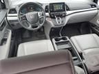 2019 Honda Odyssey EXL