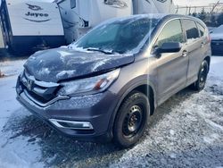 Salvage cars for sale at Elmsdale, NS auction: 2015 Honda CR-V EX