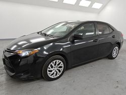 Salvage cars for sale at Van Nuys, CA auction: 2019 Toyota Corolla L