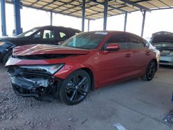 Salvage cars for sale at Phoenix, AZ auction: 2024 Acura Integra A-Spec