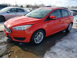 Salvage cars for sale at Louisville, KY auction: 2016 Ford Focus SE