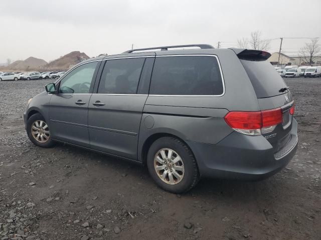 2008 Honda Odyssey EXL