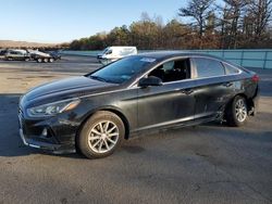 2019 Hyundai Sonata SE en venta en Brookhaven, NY