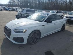 Salvage cars for sale at Glassboro, NJ auction: 2023 Audi S5 Prestige