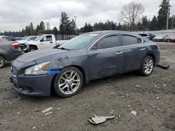 Salvage cars for sale at Graham, WA auction: 2013 Nissan Maxima S