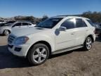 2011 Mercedes-Benz ML 350