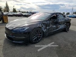 Salvage cars for sale at Rancho Cucamonga, CA auction: 2024 Tesla Model S