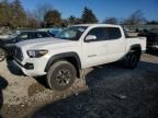 2019 Toyota Tacoma Double Cab