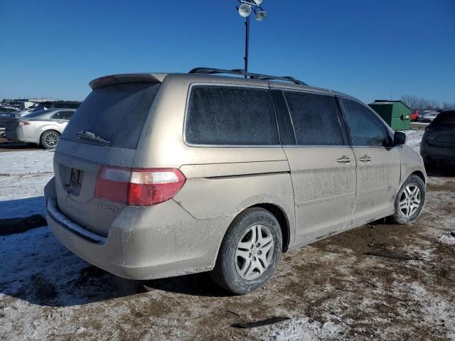 2005 Honda Odyssey EX