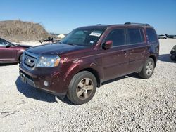 Salvage SUVs for sale at auction: 2011 Honda Pilot EXL