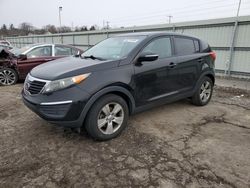 Salvage cars for sale at Pennsburg, PA auction: 2012 KIA Sportage Base